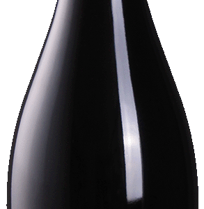 2019er Venus St. Laurent QbA. trocken 0.75l